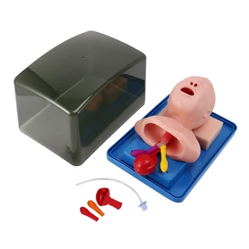 Naujagimių trachėjos intubacijos modelis Analoginis dvigubas plaučių ir skrandžio išsiplėtimas Vaiko trachėjos intubacijos mokymo modelis