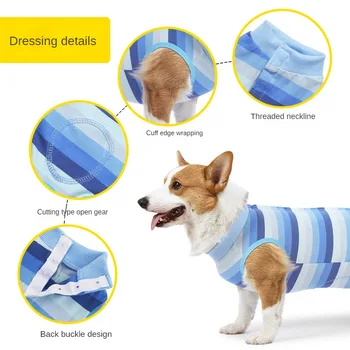 Žavingi mažo šuns pooperaciniai drabužiai - sagties stilius maksimaliam komfortui ir šuns sterilumui