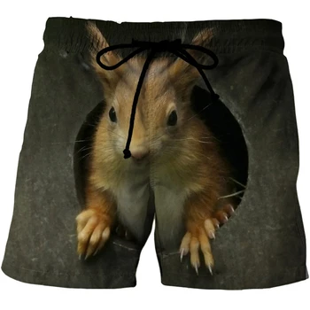 Funny Animal Squirrel Graphic Short Pants Summer Fashion Cute Pet 3D Printed Beach Shorts for Men Casual Trunks Gym Kelnės