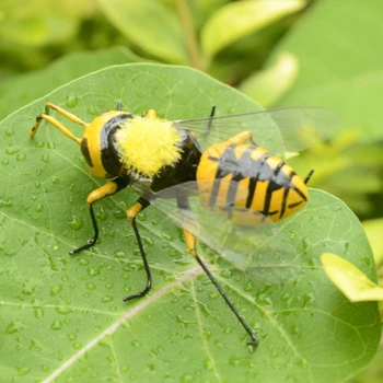 Vabzdžių gyvūnų žaislai tikroviški vabzdžių atvaizdai žaislai mini laukinių vabzdžių modelis biologijos mokslų žaislai mielas bičių projektas